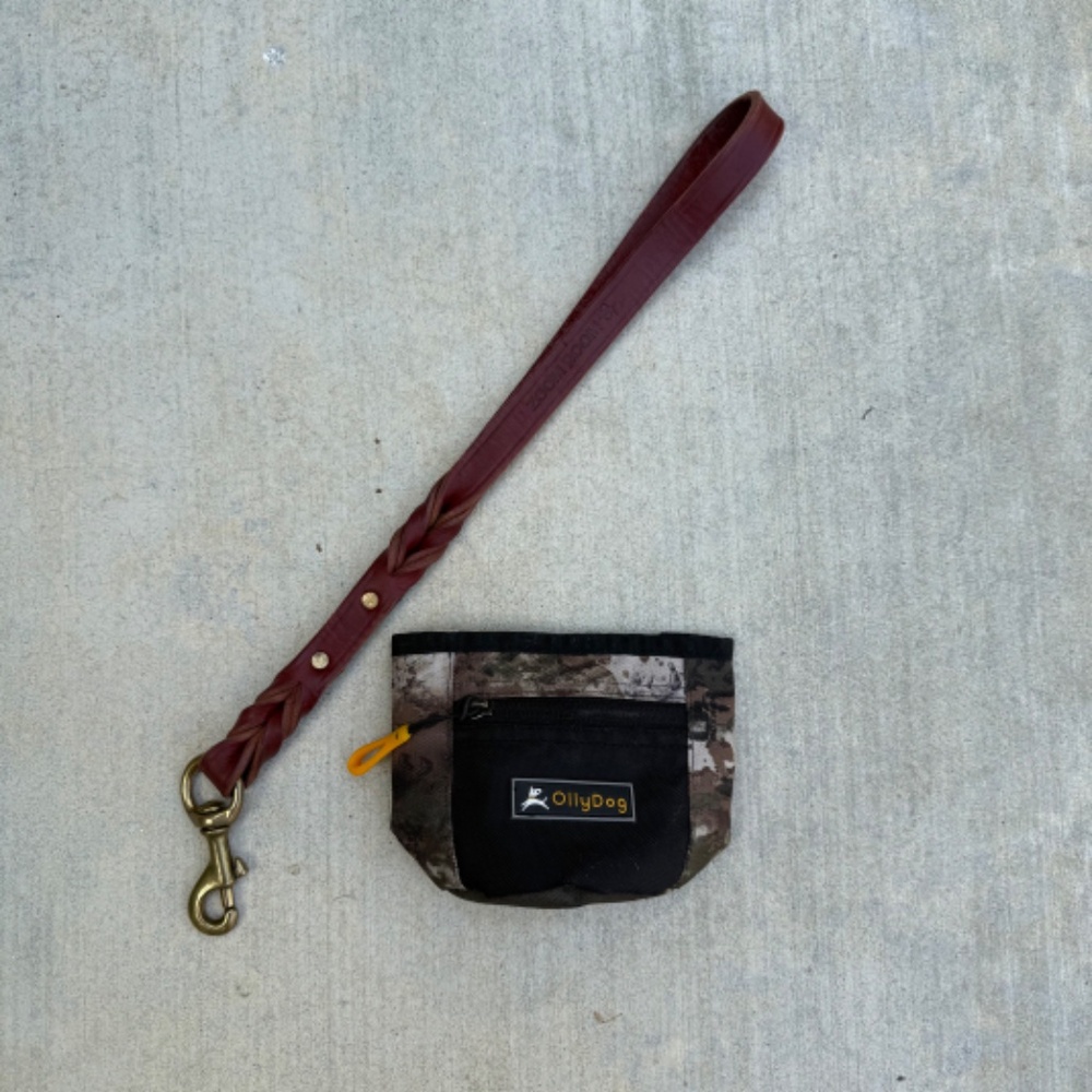 Dog Traffic leash &  treat bag / pouch